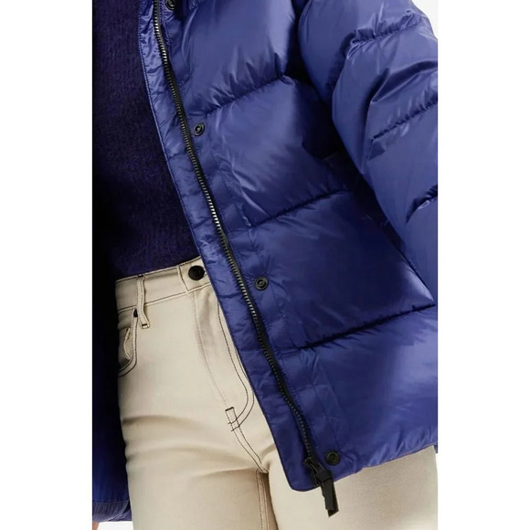 Everlane Re:down Puffy Puff Water Resistant Hooded Jacket in Blue Large New - Picture 4 of 12